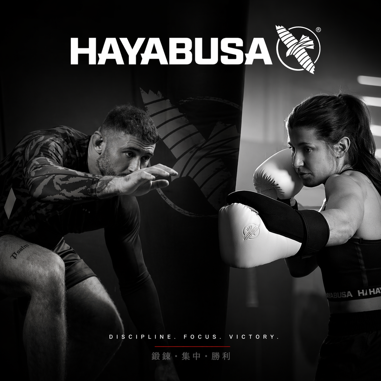 HAYABUSA